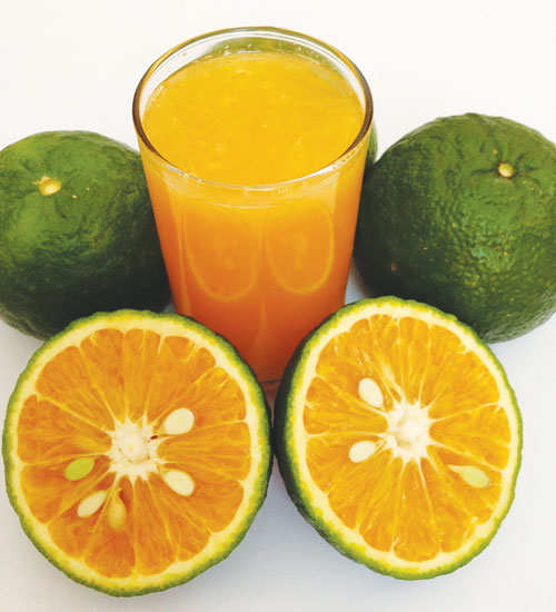 vitamincd.jpg