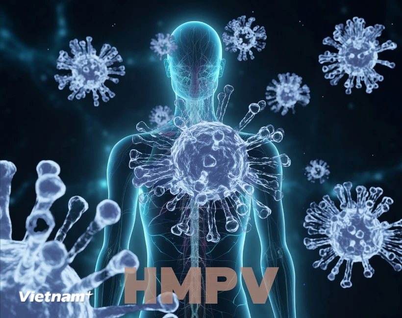 vnp-hmpv.png.webp