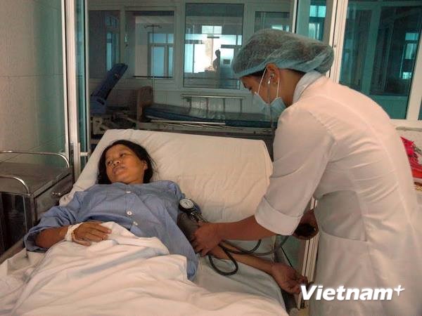 Ngộ độc do ăn bọ xít đen, hơn 20 người phải đi cấp cứu