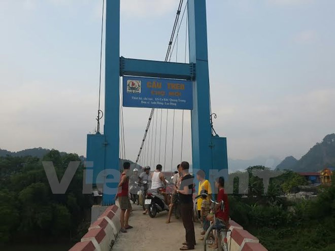 vnp_cautreo.jpg