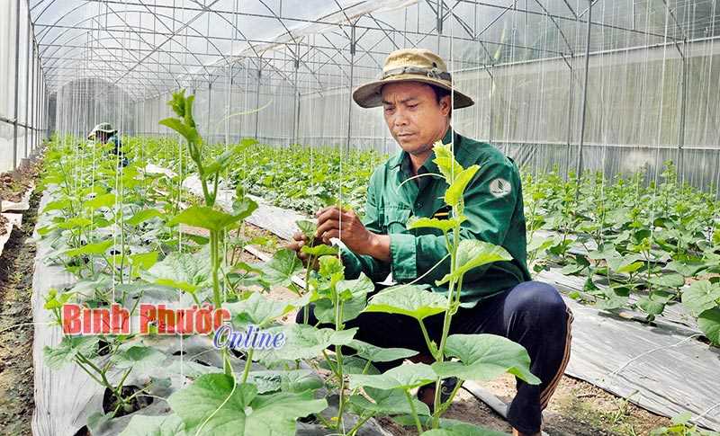 Hướng đi tất yếu