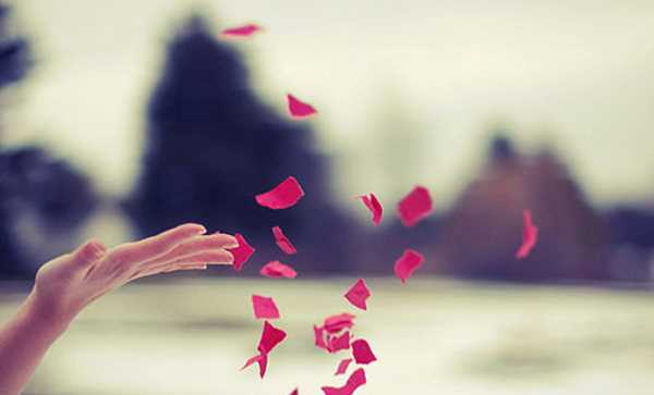 Vỡ mộng sau ngày cưới Vỡ mộng sau ngày cưới