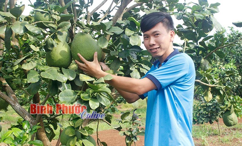 Vốn vay ưu đãi tiếp sức cho thanh niên lập nghiệp