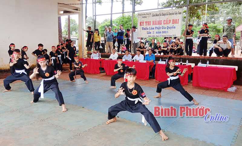 Thi nâng cấp đai võ thuật cổ truyền Thiếu lâm phật gia quyền