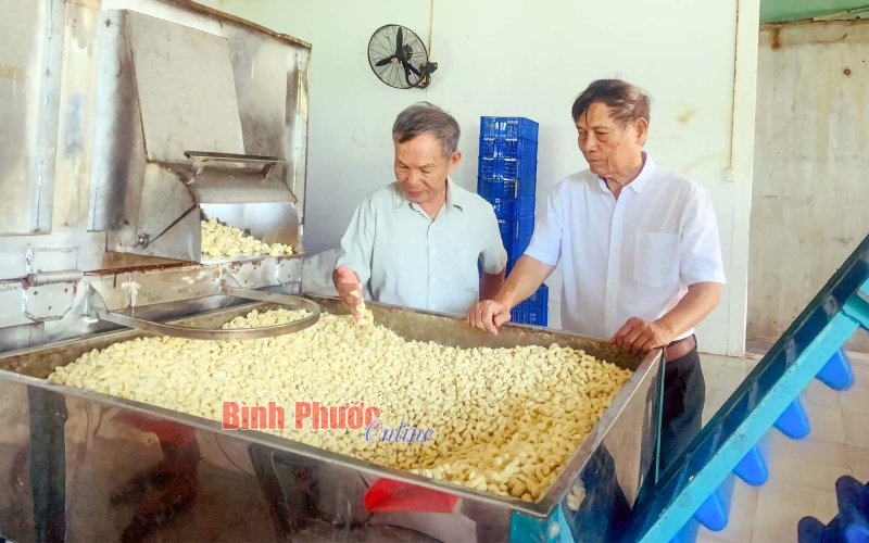 Vững vàng “cây cao bóng cả” Vững vàng “cây cao bóng cả”