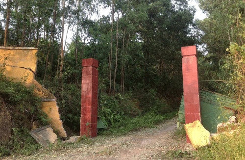 vunophao2.gif