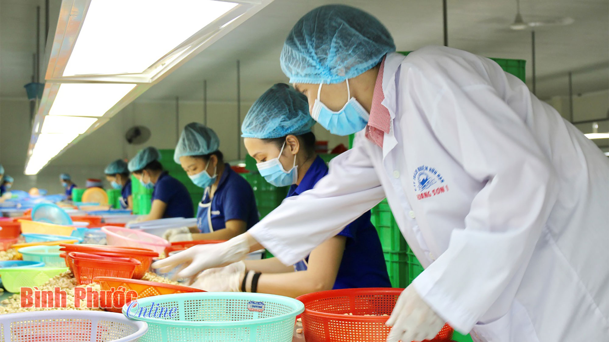 Vươn ra biển lớn