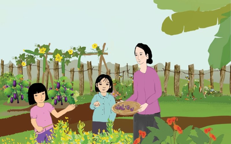Vườn rau của mẹ