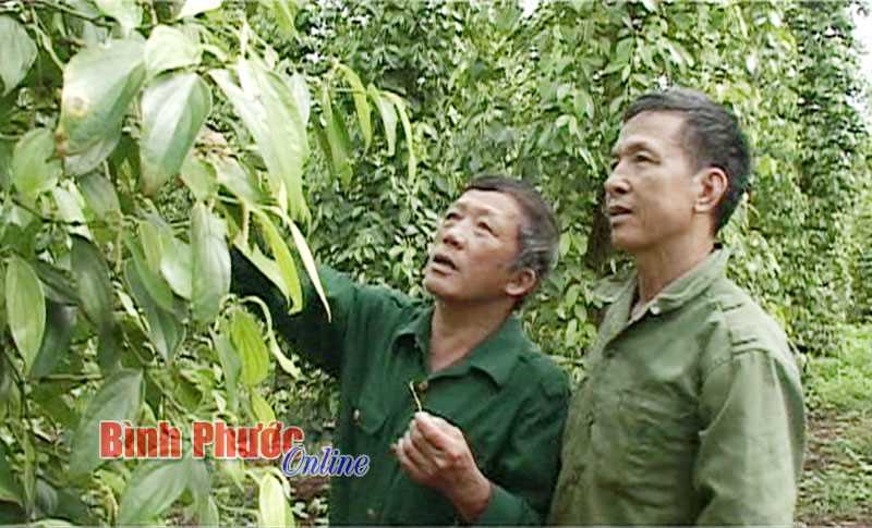 Vượt khó vươn lên Vượt khó vươn lên