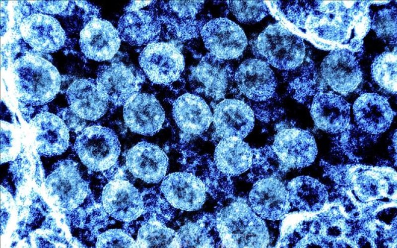WHO đang theo dõi chặt chẽ biến chủng phụ mới của Omicron