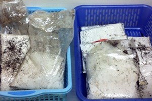 Bắt giữ hơn 4kg heroin qua đường chuyển phát nhanh Bắt giữ hơn 4kg heroin qua đường chuyển phát nhanh