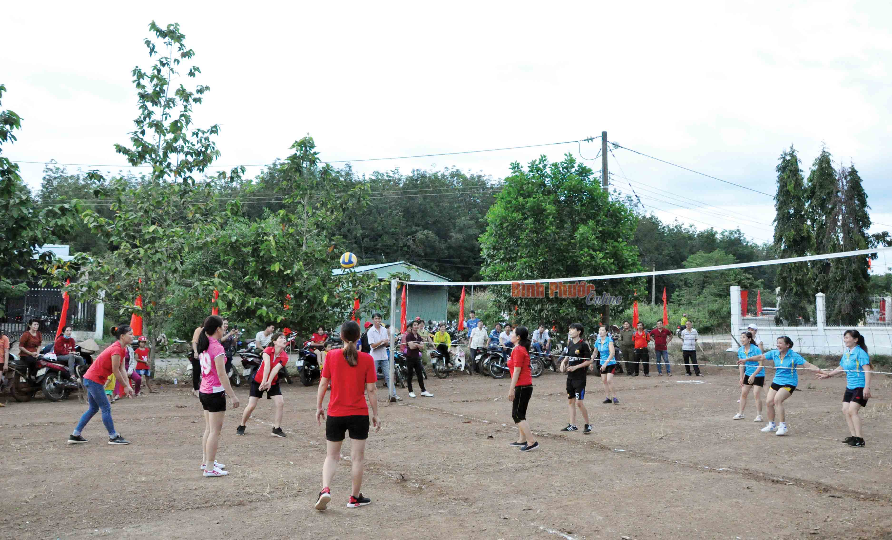 xuan-tuc--dscbbbbb052328122018094347.jpg