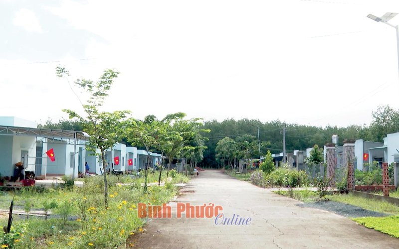 Xuân ấm miền biên viễn