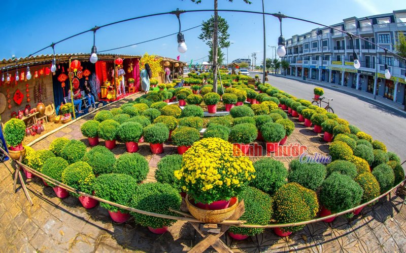 Xuân về trên đất Hậu Giang