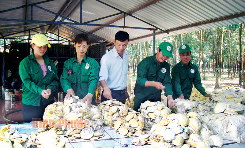 xuansomonongtruong217012019101303.jpg
