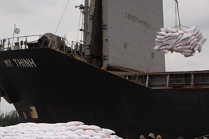 Hiệp hội lúa gạo Mexico đề nghị áp thuế với gạo Việt Nam Hiệp hội lúa gạo Mexico đề nghị áp thuế với gạo Việt Nam