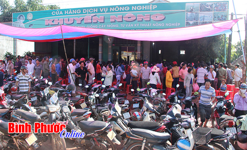 xuong1.jpg