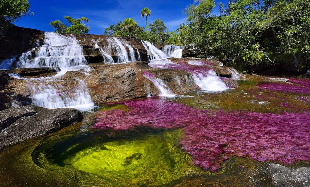 Dòng sông đẹp nhất thế giới 'chảy xuống từ thiên đường'